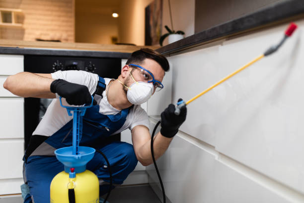 Best Cockroach Control Services  in Woodbine, GA