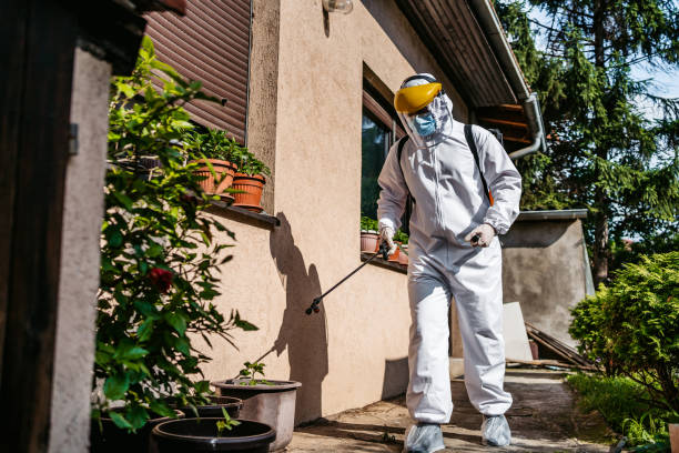 Reliable Woodbine, GA Pest Control Solutions