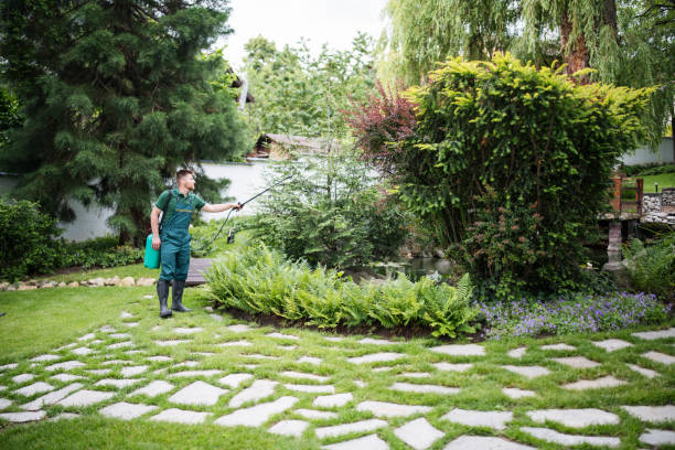 Best Ant Control Services  in Woodbine, GA