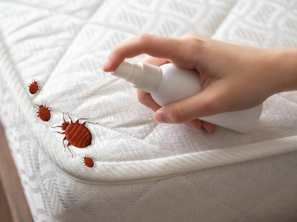 Best Pest Inspection Near Me  in Woodbine, GA