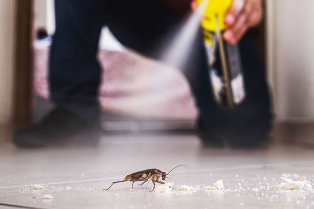 Best Wasp Removal Services  in Woodbine, GA